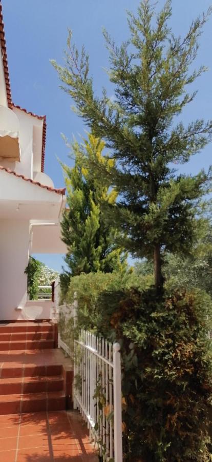 Ευχάριστη Βίλα Στη Χαλκίδα Στην Περιοχή "Αλυκές" Zewnętrze zdjęcie